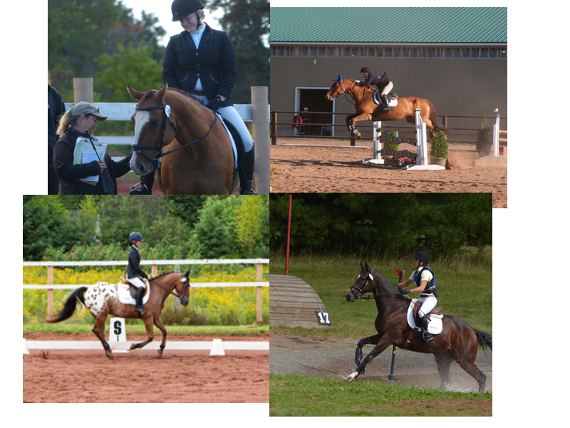 Endurance - New Brunswick Equestrian Association