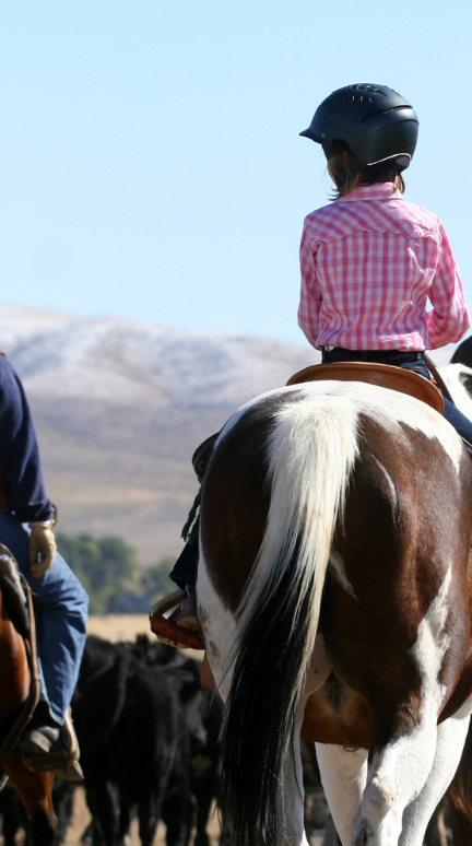 Why Choose Equestrian Sport? - New Brunswick Equestrian Association
